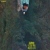 김정호 - 보고싶은 마음 / 이름모를 소녀 [LP]