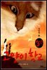 고양이 학교 (3부 3권) - 거인의 들