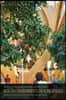 Healthy Environments, Healing Spaces: Practices and Directions in Health, Planning, and Design