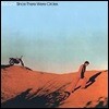 Bob Lind (밥 린드) - Since There Were Circles [LP]