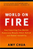 World on Fire: How Exporting Free Market Democracy Breeds Ethnic Hatred and Global Instability