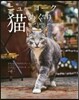 ニュ-ヨ-ク猫めぐり