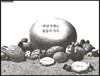 바닷가에는 돌들이 가득