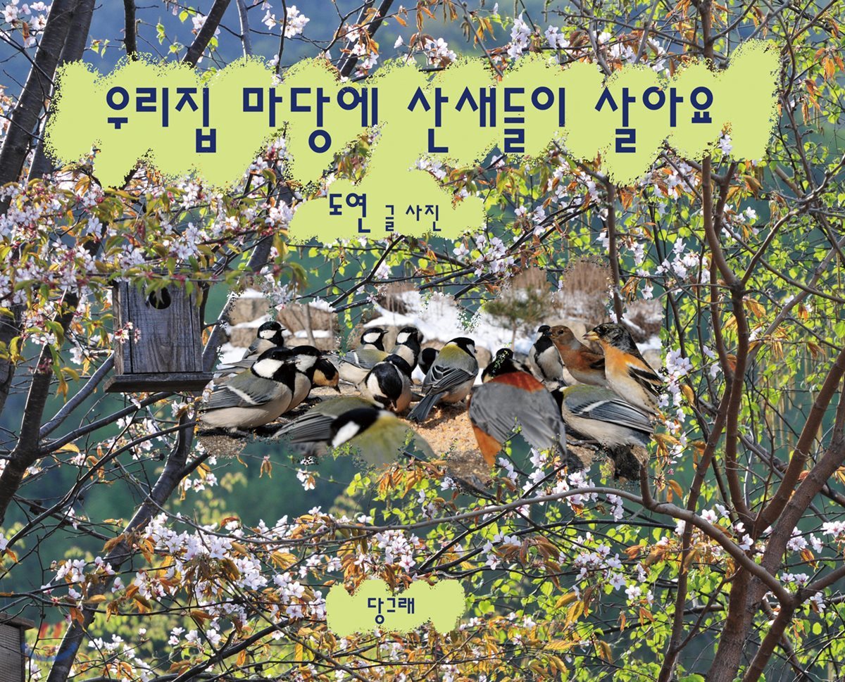 우리집 마당에 산새들이 살아요