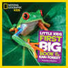 National Geographic Little Kids First Big Book of the Rain Forest