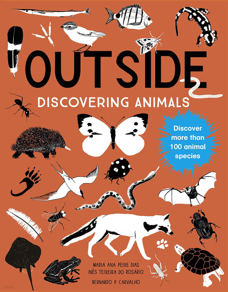 Outside: Discovering Animals