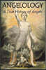 Angelology, A True History of Angels