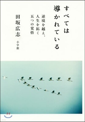 すべては導かれている