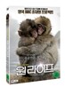 원라이프(1Disc)