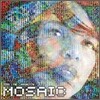 Terri Lyne Carrington - The Mosaic Project