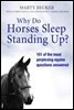 Why Do Horses Sleep Standing Up?