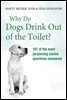Why Do Dogs Drink Out Of The Toilet?