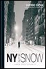 New York In The Snow