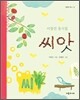 씨앗