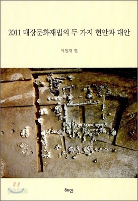 2011 매장문화재법의 두 가지 현안과 대안