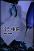 슬픈 허니문