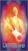 Jimi Hendrix Experience - Winterland