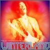 Jimi Hendrix Experience - Winterland