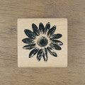 러빙플라워(Rubbing Flower)-C