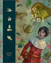 사막의 장미