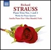Amelia Piano Trio 슈트라우스: 피아노 트리오 1, 2번, 피아노 쿼텟을 위한 2개의 소품 외 (R.Strauss: Piano Trios AV37, AV53, Two Pieces for Piano Quartet AV182)