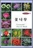 꽃나무