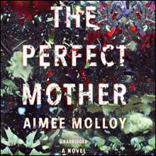 The Perfect Mother