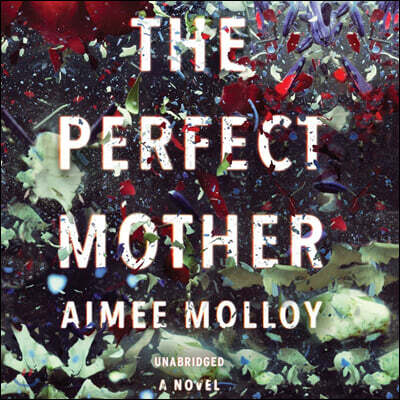 The Perfect Mother Lib/E