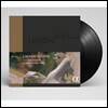 Giovanni Antonini 하이든 2032 프로젝트 5집 - 교향곡 80번, 81번 & 19번 (L'Homme de Genie - Haydn: Symphonies) [2LP+CD]
