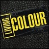 Living Colour (리빙 컬러) - Live From CBGB's & OMFUG