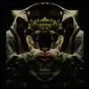 Midlake - Courage of Others (LP)