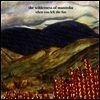 Wilderness Of Manitoba - When You Left The Fire (LP)