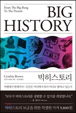 빅히스토리