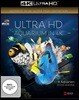 Ultra HD : Aquarium in 4K (뒤스부르크의 수족관의 해양 생물) [4K Blu-Ray]