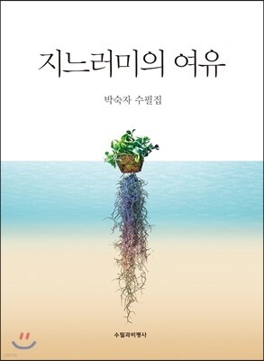 지느러미의 여유
