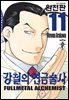 강철의 연금술사 완전판 11권