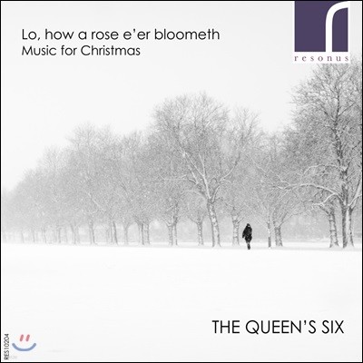 Queen's Six 지지 않는 장미를 보라 - 크리스마스 음악 (Lo, How a Rose E'Er Blooming - Music For Christmas)