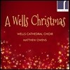 Wells Cathedral Choir 웰스의 크리스마스 (A Wells Christmas)