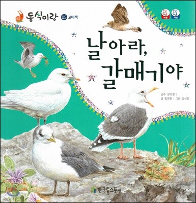 동식이랑 05 날아라, 갈매기야