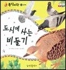 동식이랑 06 도시에 사는 비둘기