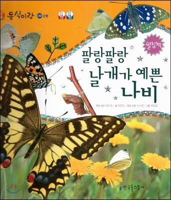 동식이랑 09 팔랑팔랑 날개가 예쁜 나비