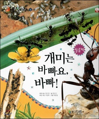 동식이랑 12 개미는 바빠요, 바빠!
