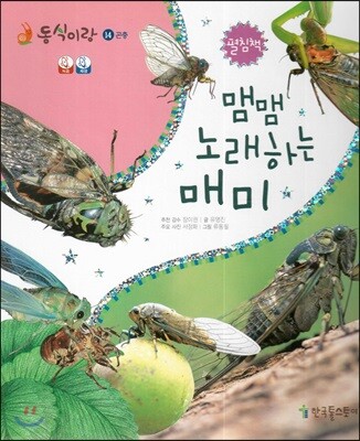 동식이랑 14 맴맴 노래하는 매미