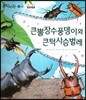 동식이랑 16 큰뿔장수풍뎅이와 큰턱사슴벌레