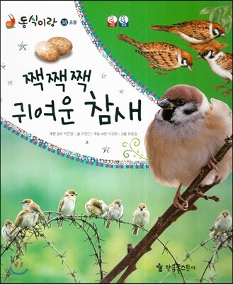 동식이랑 38 짹짹짹 귀여운 참새