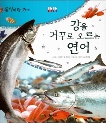 동식이랑 43 강을 거꾸로 오르는 연어