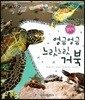 동식이랑 47 엉금엉금 느릿느릿 거북