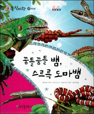 동식이랑 49 꿈틀꿈틀 뱀, 스르륵 도마뱀