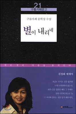 별이 내리네