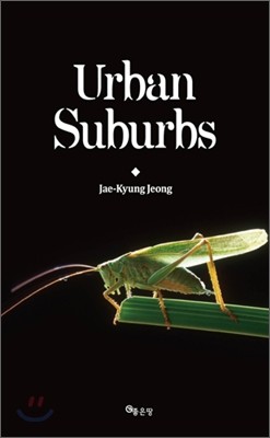 Urban Suburbs 어반 서법스